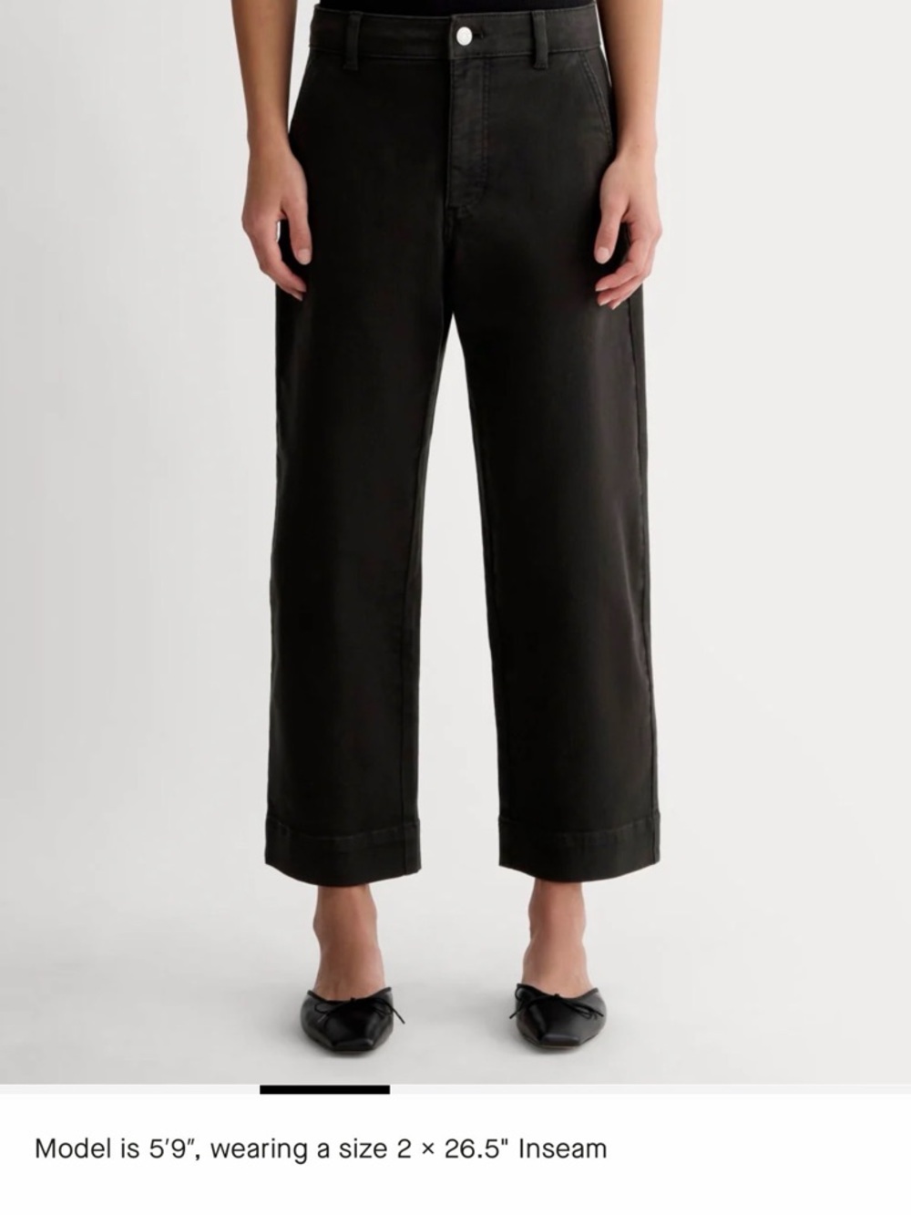 Everlane Utility Straight Leg Pant in Black
